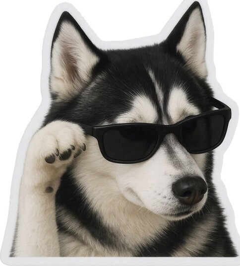 Klistremerke Kul Husky med Solbriller 4 Klistremerker