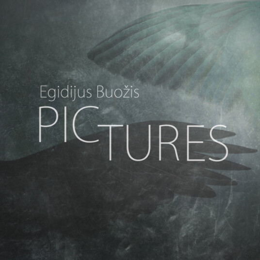 Egidijus Buozis Pictures CD
