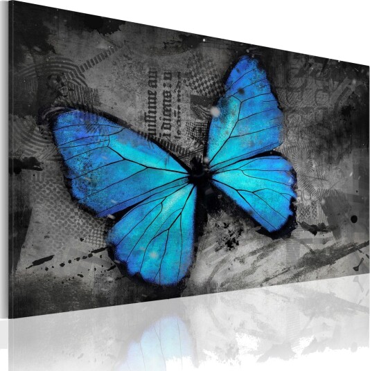 Bilde The Study Of Butterfly 60x40 Artgeist sp. z o. o.