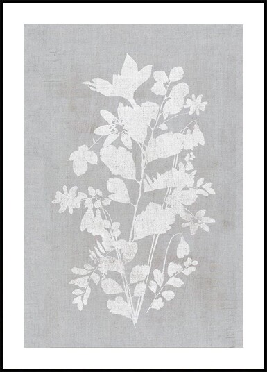 Botanical Illustration 2 Plakat Plakat / 40x50cm