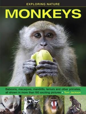 Exploring Nature: Monkeys