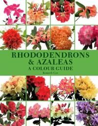Cox Kenneth Rhododendrons and Azaleas - A Colour Guide