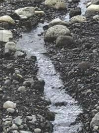 Eliasson Olafur Olafur Eliasson: Riverbed