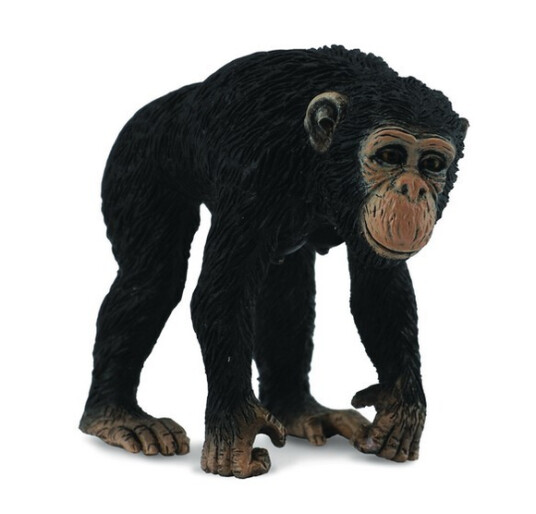 Figur Collecta Sjimpanse hunn 5,5 cm Figur Collecta Sjimpanse hunn 5,5 cm