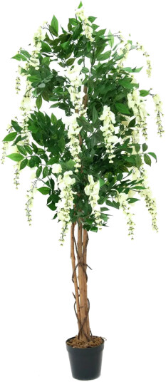 Europalms Gullregn Kunstig Plante Hvit 180 Cm (82507106)