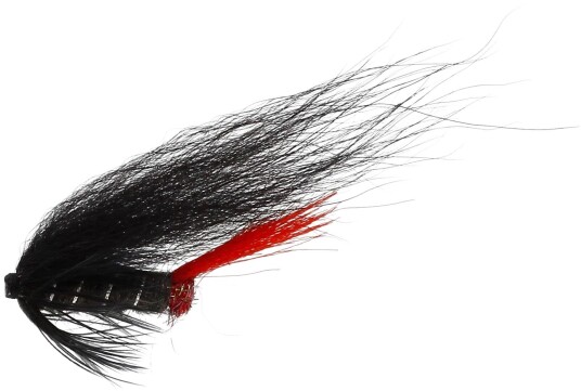 Unique Flies Red Butt Us Tube 10 Mm Black/red