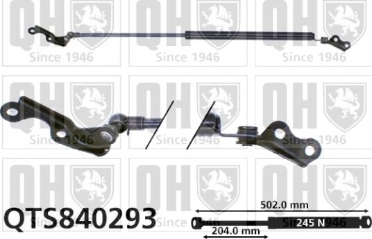QUINTON HAZELL QTS840293 Baklukedemper