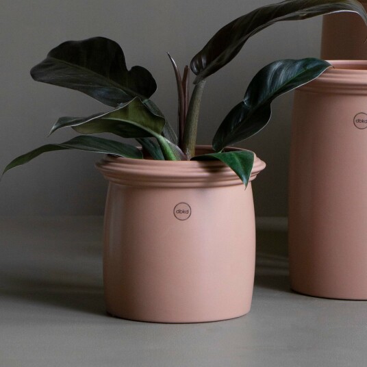 Dbkd Kruset krukke small apricot Dbkd Kruset krukke small apricot