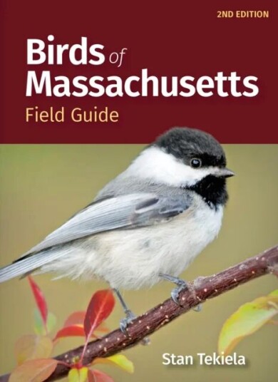 Birds Of Massachusetts Field Guide Av Stan Tekiela