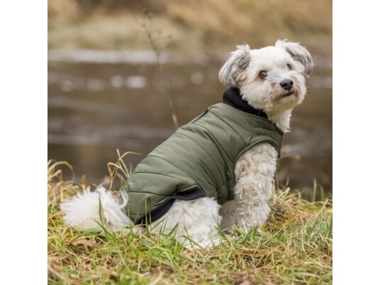 Trixie Arlay Hundedekken 40cm Mørkegrønn med Fleecefôr Trixie Arlay Hundedekken 40cm Mørkegrønn med Fleecefôr