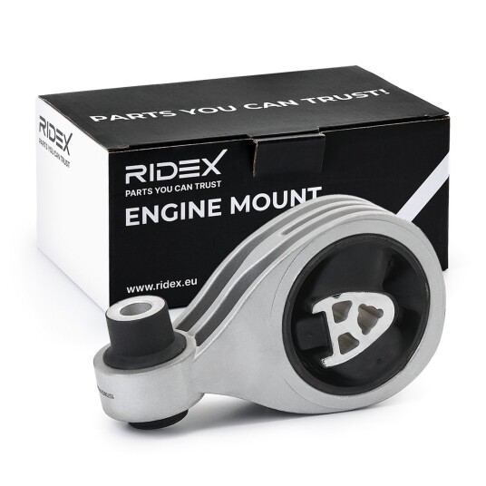 Motorfeste RIDEX 247E0708