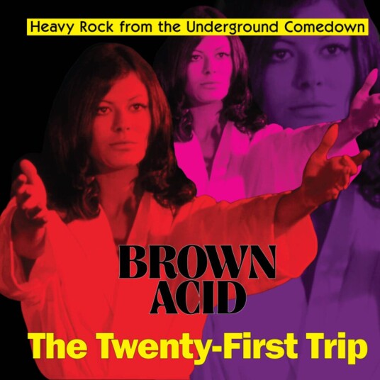Diverse Artister Brown Acid The Twentyfirst Trip LP/Vinyl Diverse Artister Brown Acid The Twentyfirst Trip LP/Vinyl