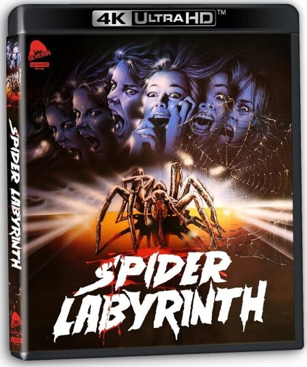 The Spider Labyrinth (1988) The Spider Labyrinth (1988)
