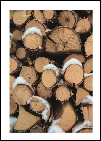 Wooden Logs Plakat Plakat / 70x100cm