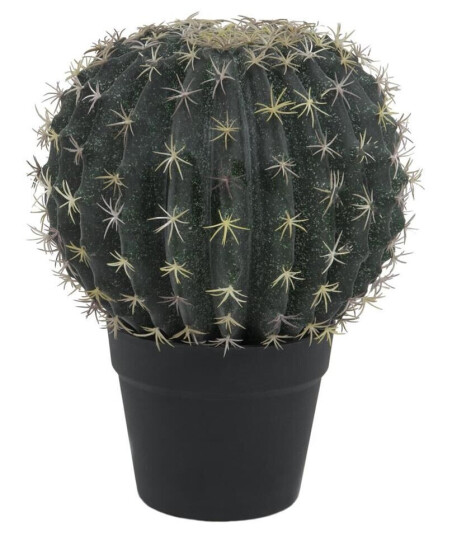 Europalms Barrel Cactus, 34cm Europalms Barrel Cactus, 34cm