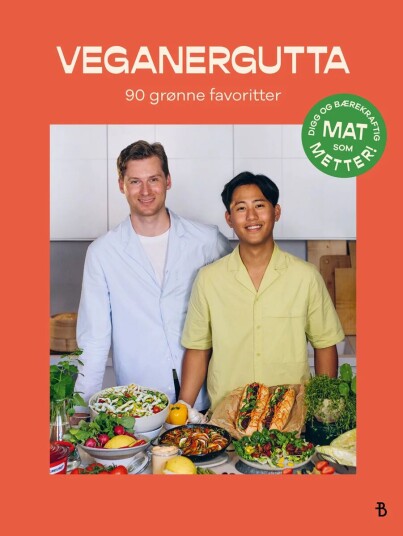 Veganergutta av Minn Saung Thit Aung Zaw, Gard Flydal Rorgemoen