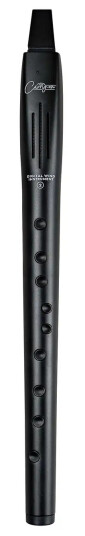 Blackstar Carry On DWI2-BK Digitalt blåseinstrument