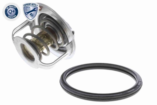 Termostat ACKOJA A64 99 0009