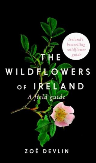 The Wildflowers Of Ireland Av Zoe Devlin