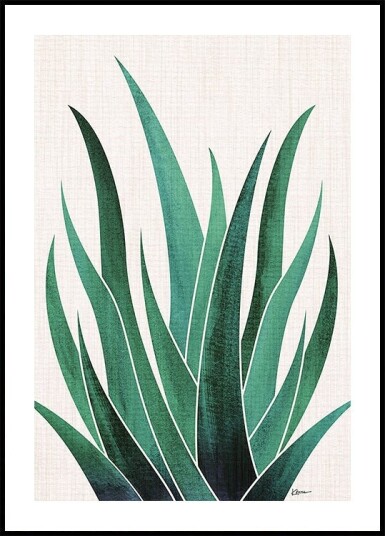 Desert Agave Cactus Plakat / 50x70cm