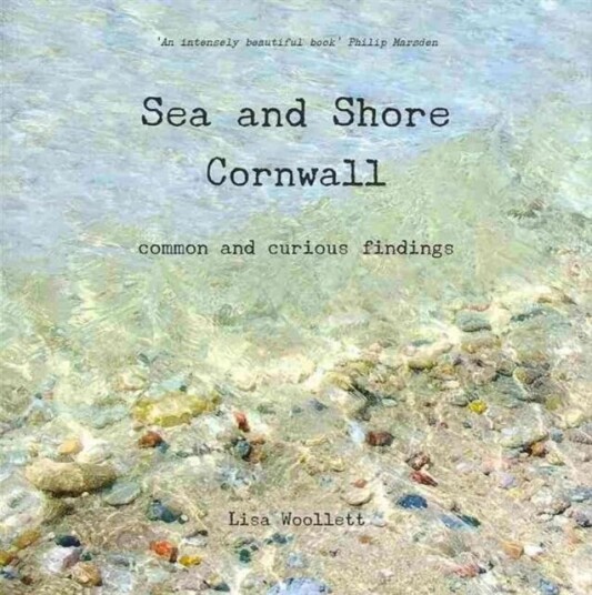 Sea And Shore Cornwall Av Lisa Woollett
