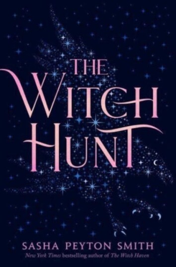 The Witch Hunt Av Sasha Peyton Smith
