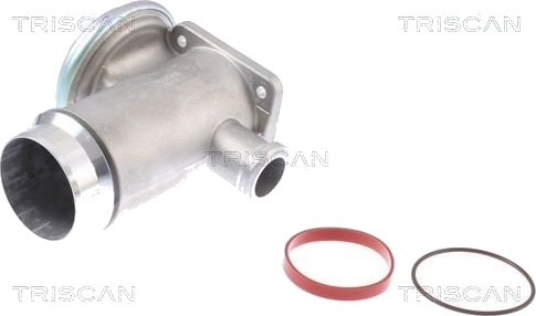 EGR-ventil TRISCAN 8813 11005