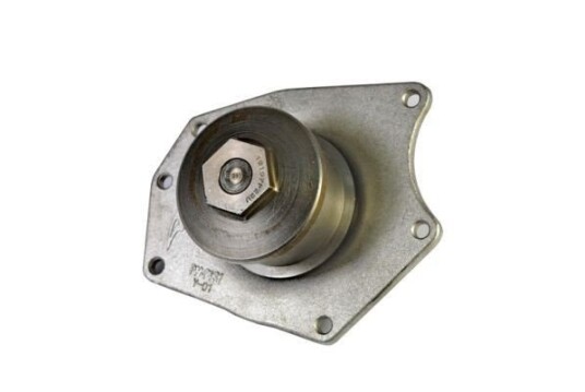 THERMOTEC D1Y015TT Vannpumpe