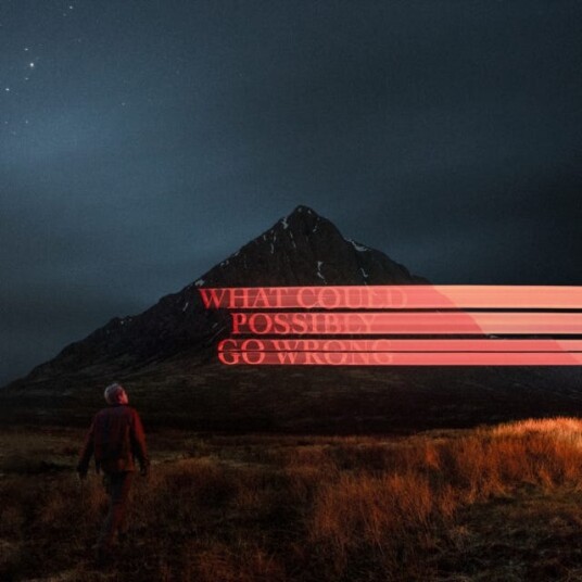 Dominic Fike  What Could Possibly Go Wrong (Gatefold Cover)  LP/Vinyl