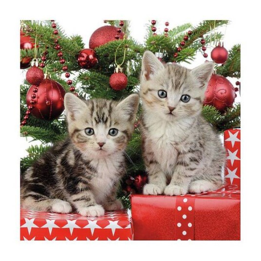 Lunsj serviett Christmas Kitten fra Ambiente