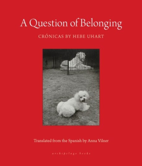 A Question Of Belonging Cronicas