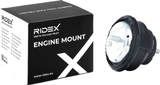 RIDEX 247E0042 Motorfeste