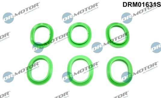 Tetningssett, innsugningsmanifold DR.MOTOR AUTOMOTIVE DRM01631S