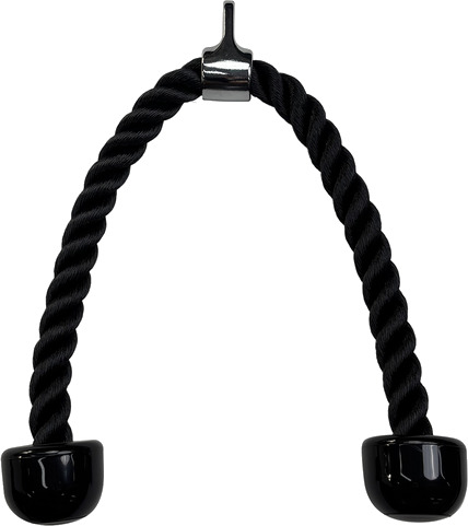 Triceps‑tau