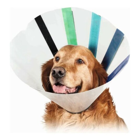 Elizabethansk hundehalsbånd KVP EZ Clear 16-19 cm