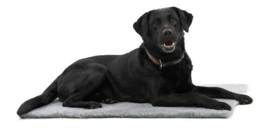 Kruuse Vet Bed Liggeunderlag Til Hund & Katt