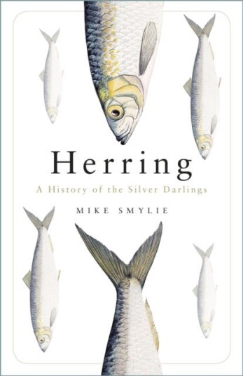 Herring Herring