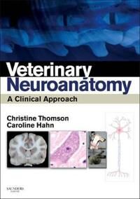 Veterinary Neuroanatomy Av Christine E Bvsc(Hons) Phd Dipacvim(Neurol) Dipecvn Iltm Mrcvs (Associate Professor Comparative Physiology And Anatomy Mass