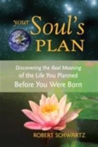 Your Soul'S Plan Av Robert Schwartz Your Soul'S Plan Av Robert Schwartz
