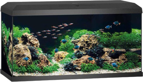 Akvarium Primo 110 2.0 Svart 81X36X43.5 cm 110L