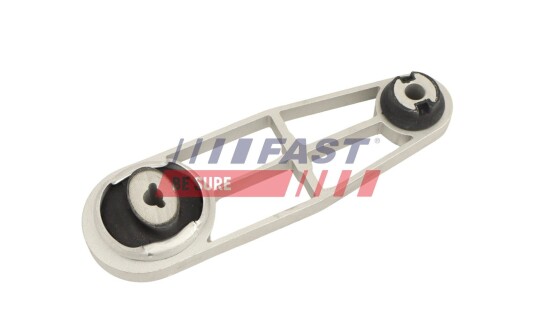 Motorfeste FAST FT10312