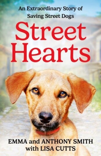 Street Hearts Street Hearts
