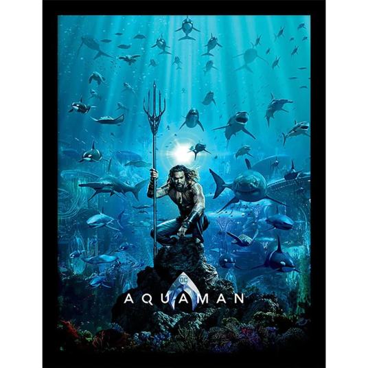 DC Innrammet Bilde 30 x 40 cm Aquaman DC Innrammet Bilde 30 x 40 cm Aquaman