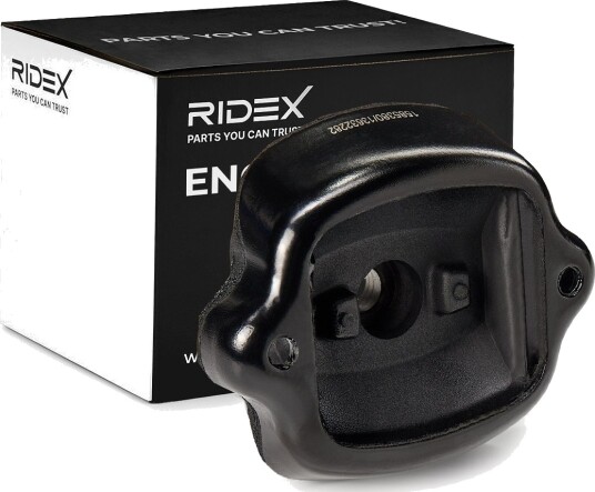 RIDEX 247E0166 Motorfeste