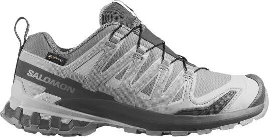 Salomon Women"s XA Pro 3d V9 GORE TEX Alloy / Castlerock / Lunar Rock 40