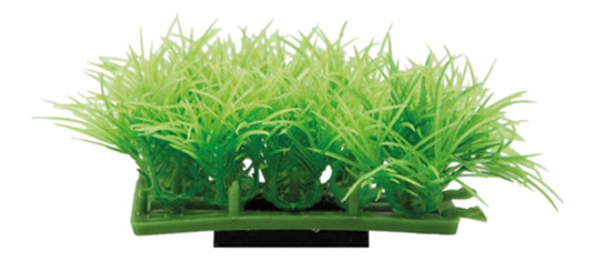 Plant Pad 2 Grønn 7X4.5X4 cm