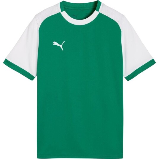 PUMA Spillerdrakt teamLIGA26 Matchday   Grønn/PUMA White Barn størrelse 164 cm