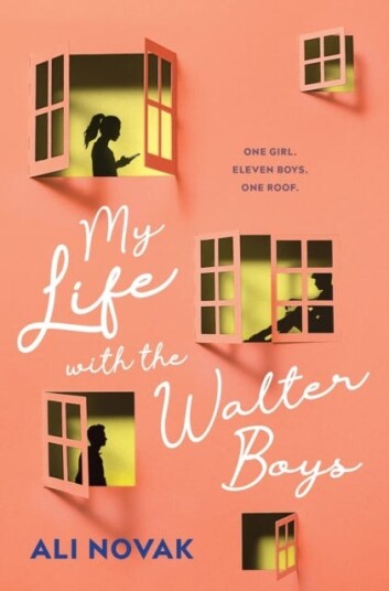 My Life With The Walter Boys Av Ali Novak