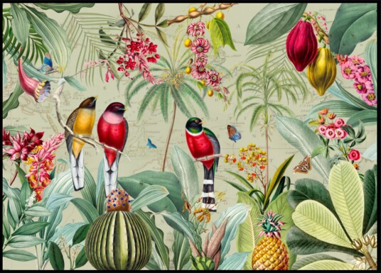 Tropical Jungle Birds Plakat / 30x40 Tropical Jungle Birds Plakat / 30x40