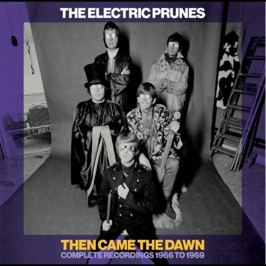 The Electric Prunes Then Came The Dawn Complete Recordings 19661969 CD